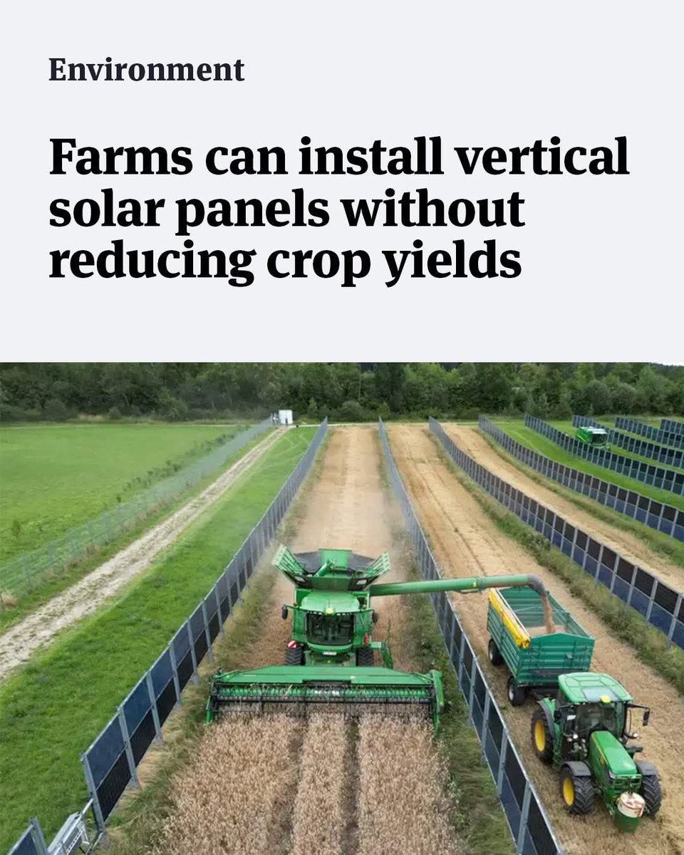 CRToney🧢 tweet media