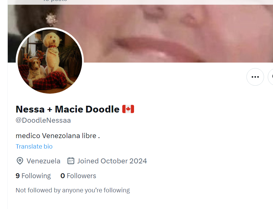 Nessa + Macie Doodle 🇨🇦 tweet media