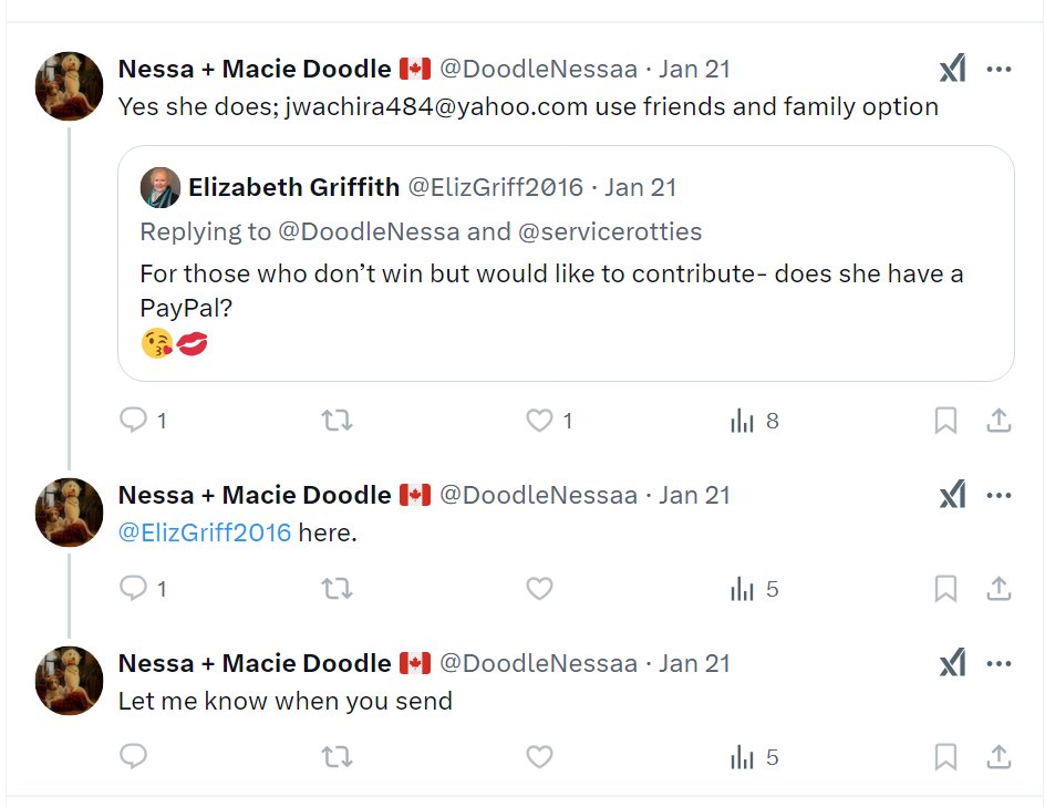 Nessa + Macie Doodle 🇨🇦 tweet media