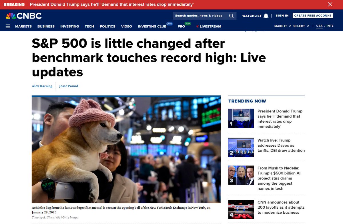 PumpkinSpiced7's tweet photo. "Achi (the dog from the famous dogwifhat meme) is seen at the opening bell of the New York Stock Exchange in New York, on January 23, 2025." https://t.co/bvGwoh87Ug