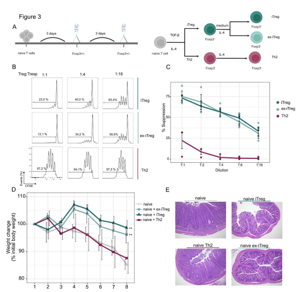 Waggoner Lab tweet media