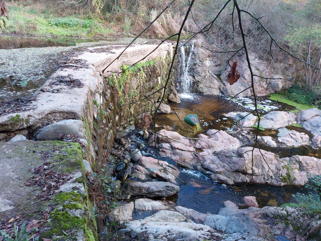 Xarxa de Parcs Naturals tweet media