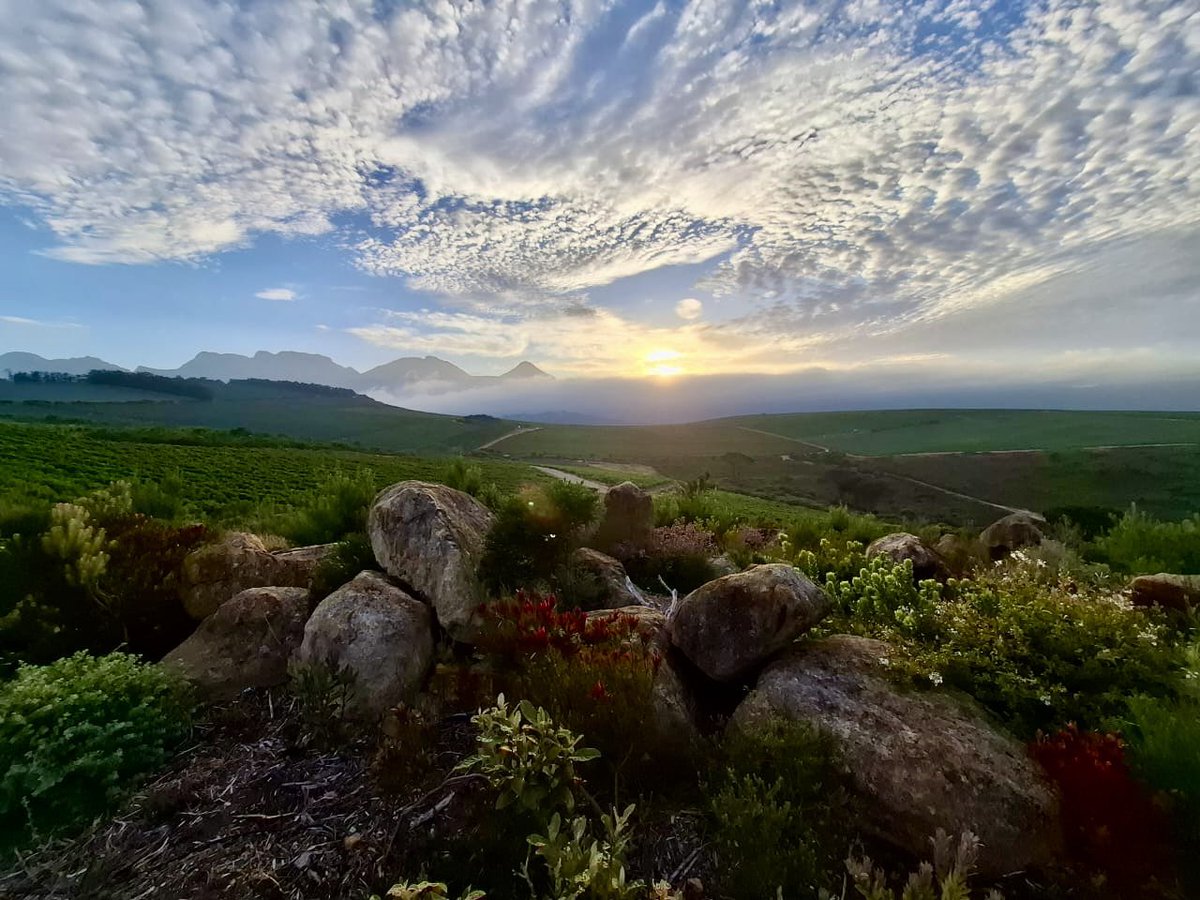 January 2025 - Sunset at Waterkloof.