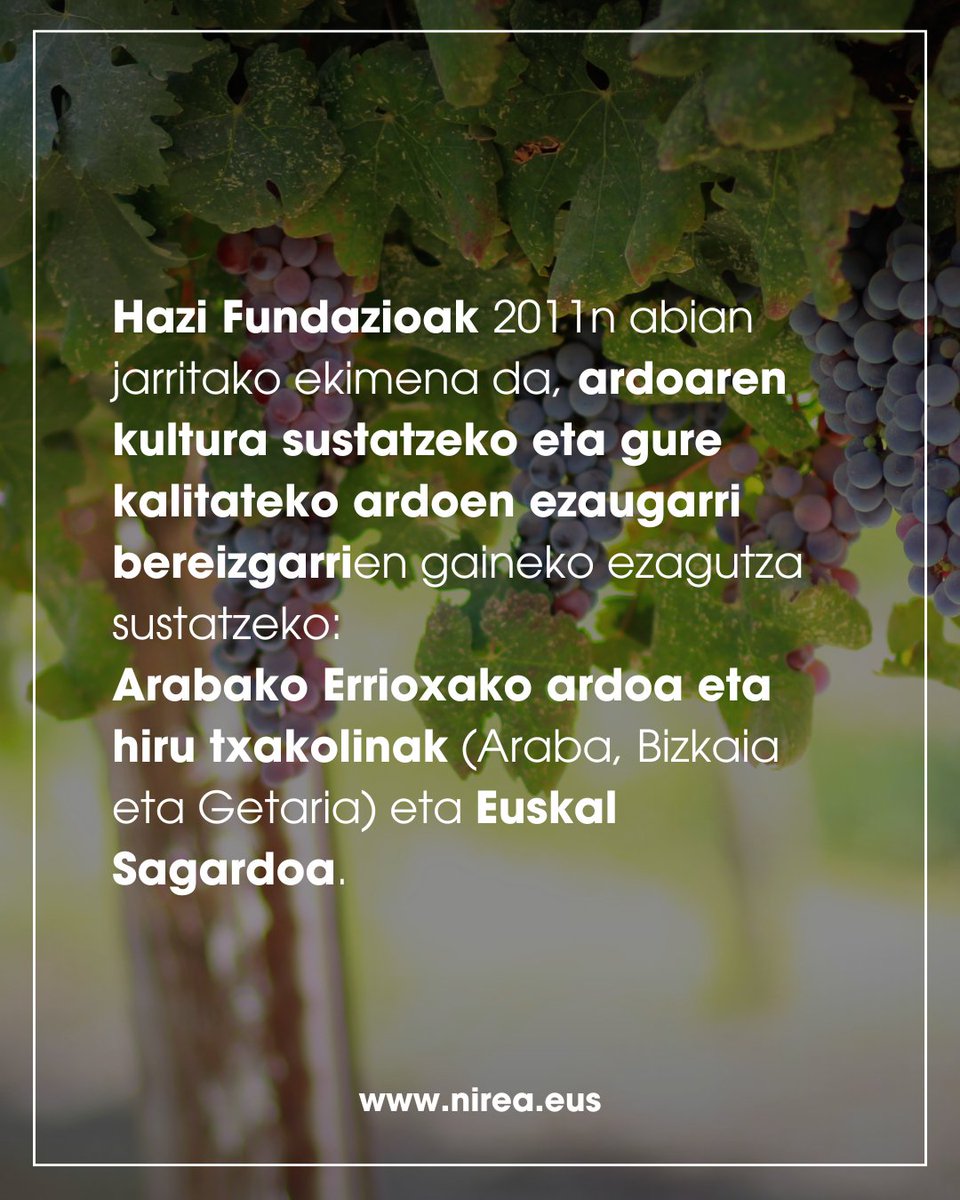 nirea_akordioa's tweet photo. 🍷✨Izugarrizko plana proposatzen dizugu! Eman izena @hazifundazioa-ren dastatze programan eta ezagutu Euskadiko zapore benetakoenak. 🧀🍇
Informazio guztia: https://t.co/Pez2y8Pjz9
#NireAgenda #Dastaketa #Cata #Euskadi #Gastronomia #Enoturismo #Hazi #BasqueWine https://t.co/YbxaqOAwDq