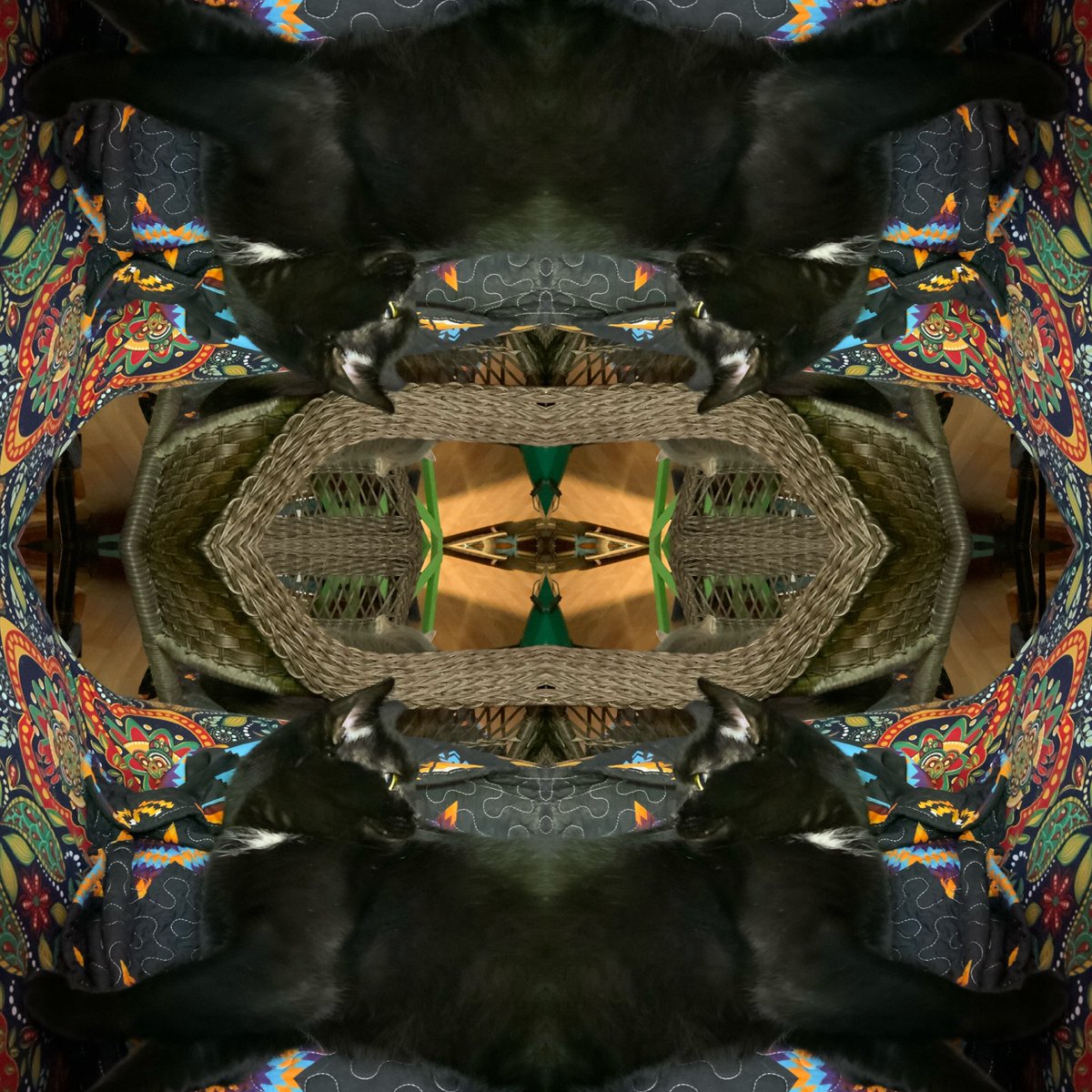 Just wanted to remind old friends I’m at that other place…The skies are not cloudy. 
Don’t check back here much.