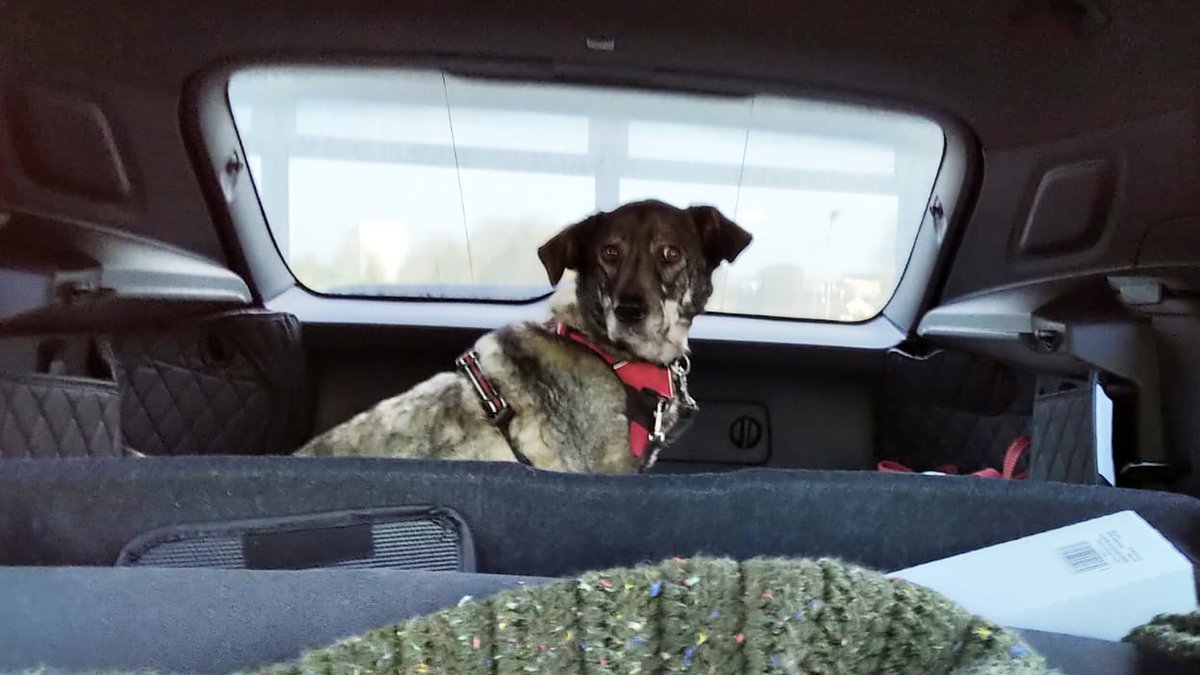 memedegen (@memedegen) / Posts / X