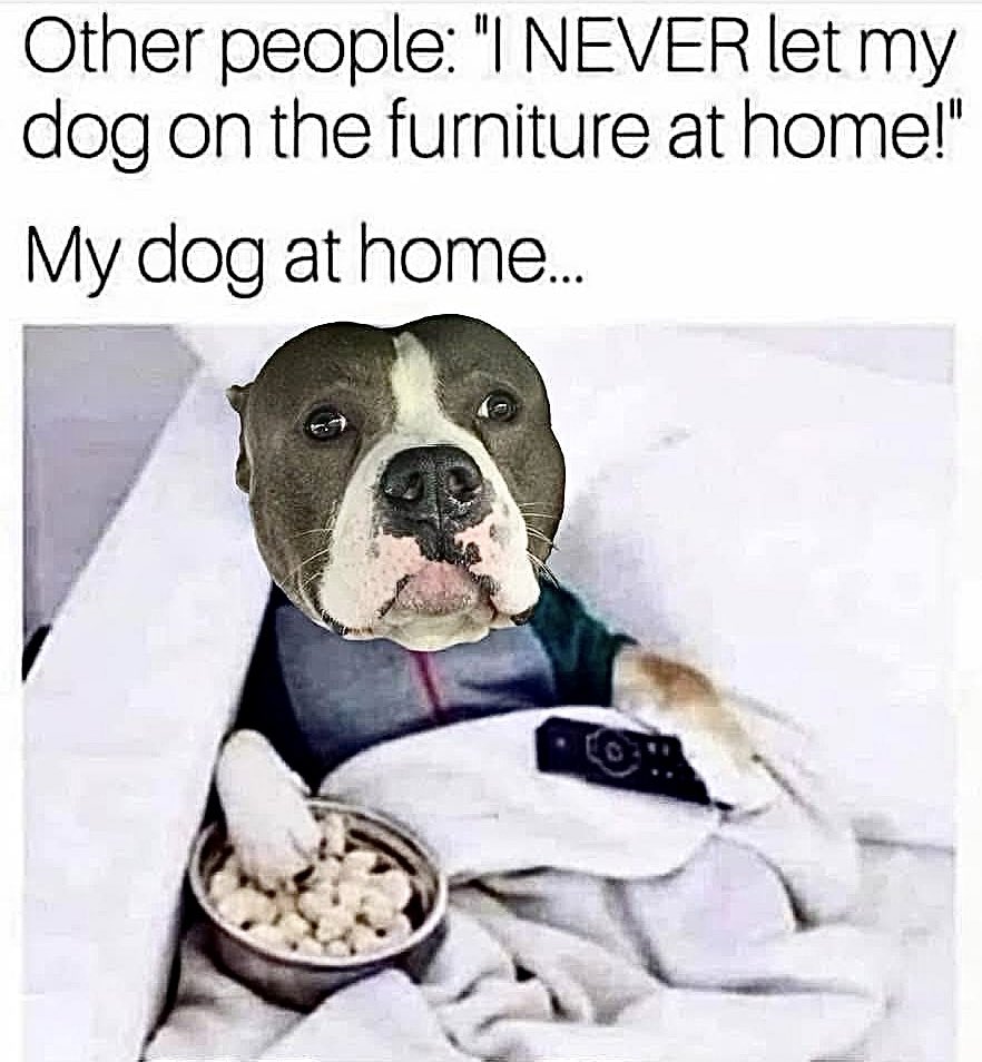 SpillTheMemes's tweet photo. So true 🤣 https://t.co/bD1OYBbF7m