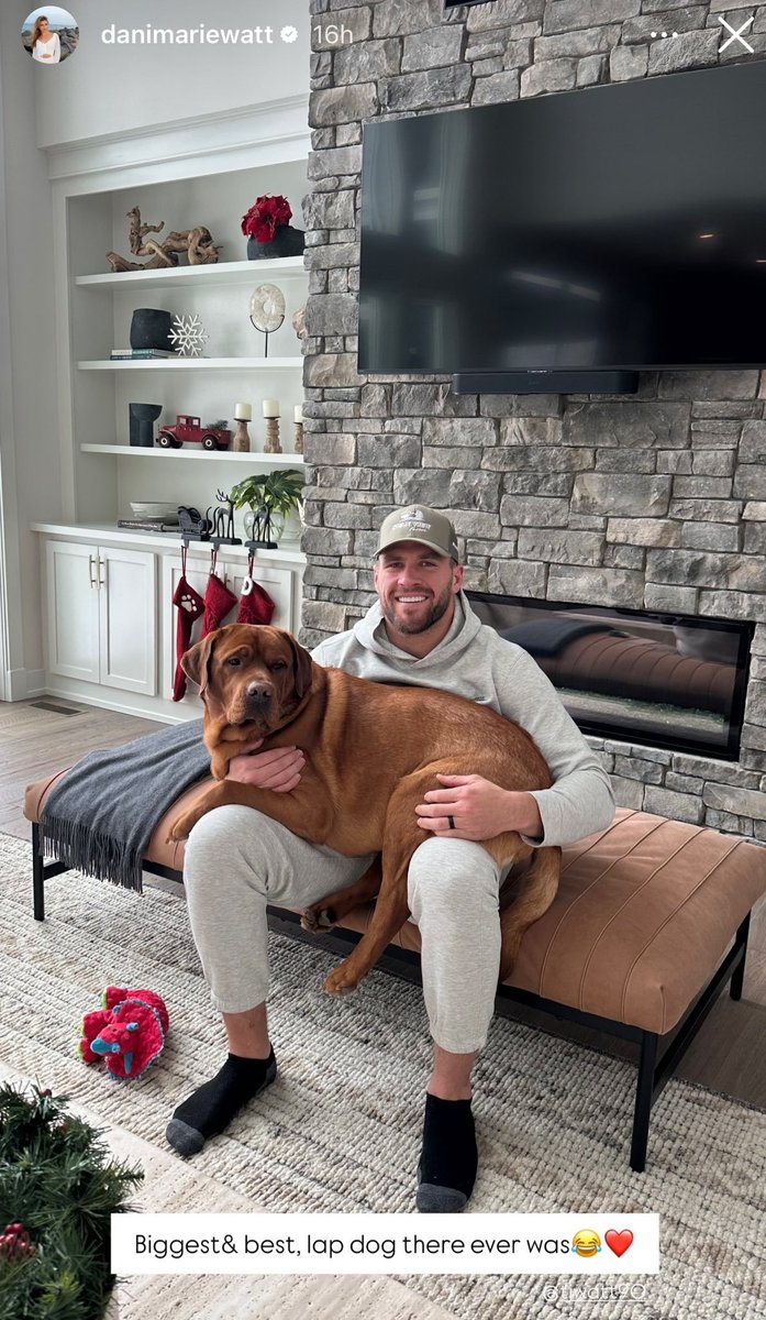 Steelersdepot's tweet photo. T.J. Watt with his lap dog. 🐶 #Steelers #NFL https://t.co/Q71bo8awVb
