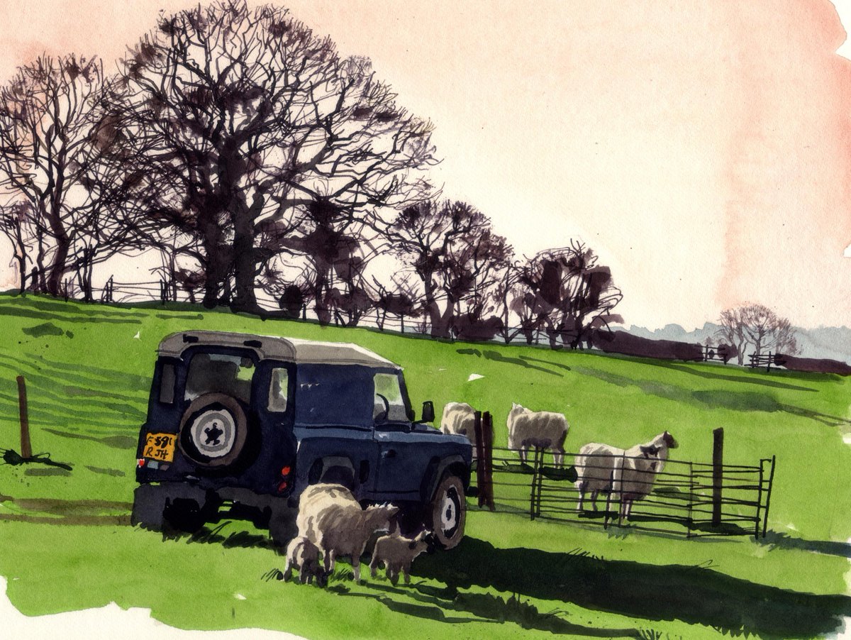Matt Cook (@matthewcook15) on Twitter photo #Somerset #Landrover #sheep #daybreak #inkdrawing #Somerset #Landrover #sheep #daybreak #inkdrawing