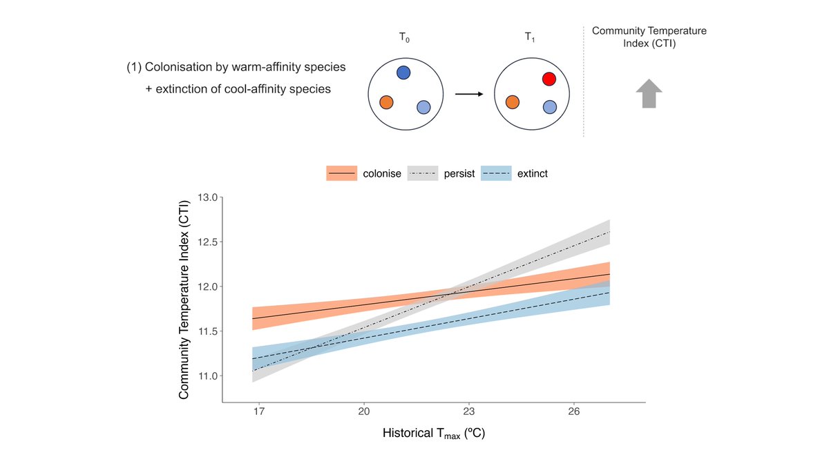 Diversity & Distributions (@consbiog) on Twitter photo How does local climate influence ecological communities? Answer: #Thermophilisation caused by #colonisation and local #extinction. Check out the new paper by <a href="/guim_ursul/">Guim Ursul</a> on #mountain #butterflies in Central Spain. #ClimateChange #Refugia
doi.org/10.1111/ddi.13… How does local climate influence ecological communities? Answer: #Thermophilisation caused by #colonisation and local #extinction. Check out the new paper by <a href="/guim_ursul/">Guim Ursul</a> on #mountain #butterflies in Central Spain. #ClimateChange #Refugia
doi.org/10.1111/ddi.13…