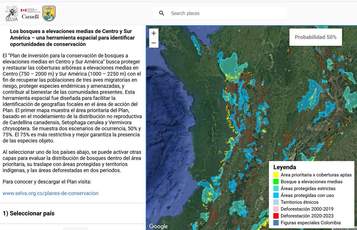SELVA (@selvaorgco) on Twitter photo Los bosques a elevaciones medias en Centro y Sur América sostienen aves migratorias de gran preocupación, además de ser fuentes de agua clave para comunidades locales. Desarrollamos esta herramienta espacial para facilitar la planificación de su protección selva.users.earthengine.app/view/bosquesel… Los bosques a elevaciones medias en Centro y Sur América sostienen aves migratorias de gran preocupación, además de ser fuentes de agua clave para comunidades locales. Desarrollamos esta herramienta espacial para facilitar la planificación de su protección selva.users.earthengine.app/view/bosquesel…