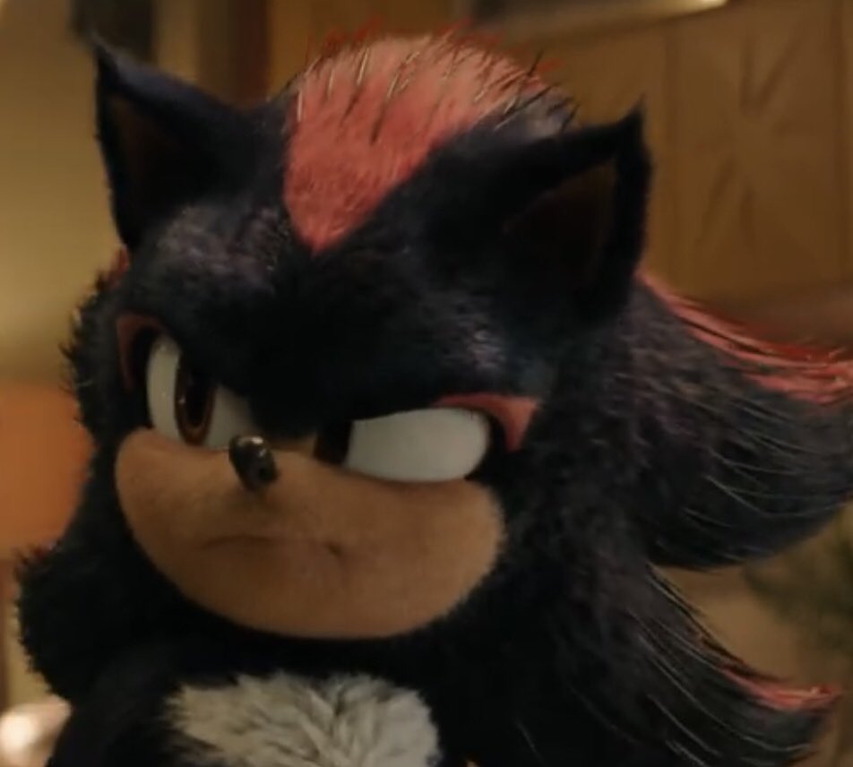 hearts2shadow's tweet photo. He is so cute and fluffy, I want to give him multiple head pats🥹🥹 https://t.co/w6F0EPaEb0