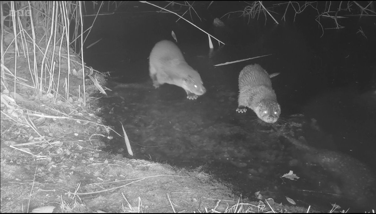 GJD Manufacturing tweet media