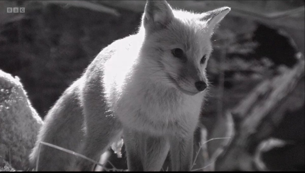 GJD Manufacturing tweet media