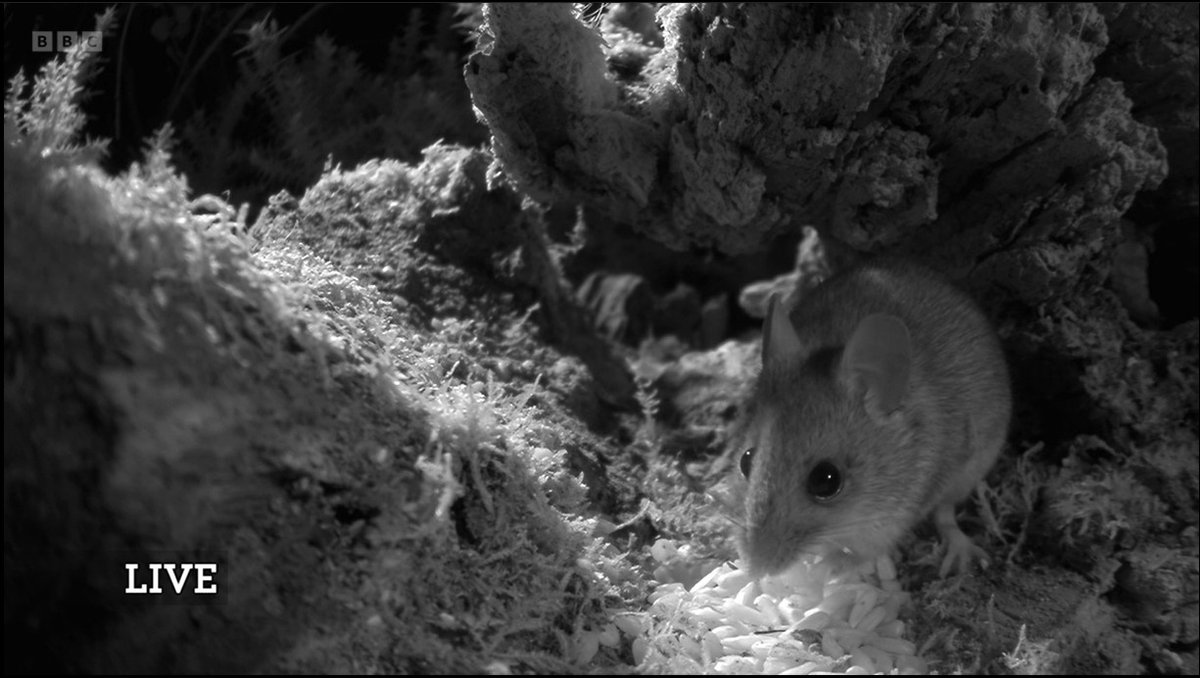 GJD Manufacturing tweet media