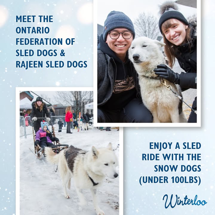 Create Waterloo tweet media