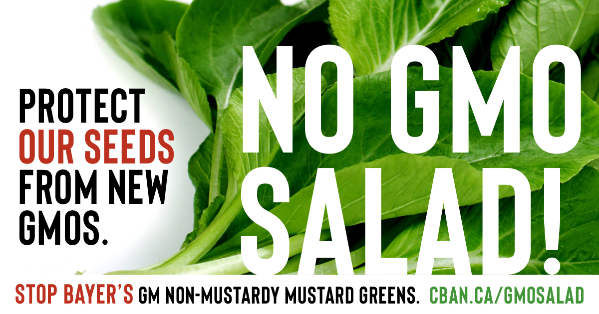 Cdn Biotech Action tweet media