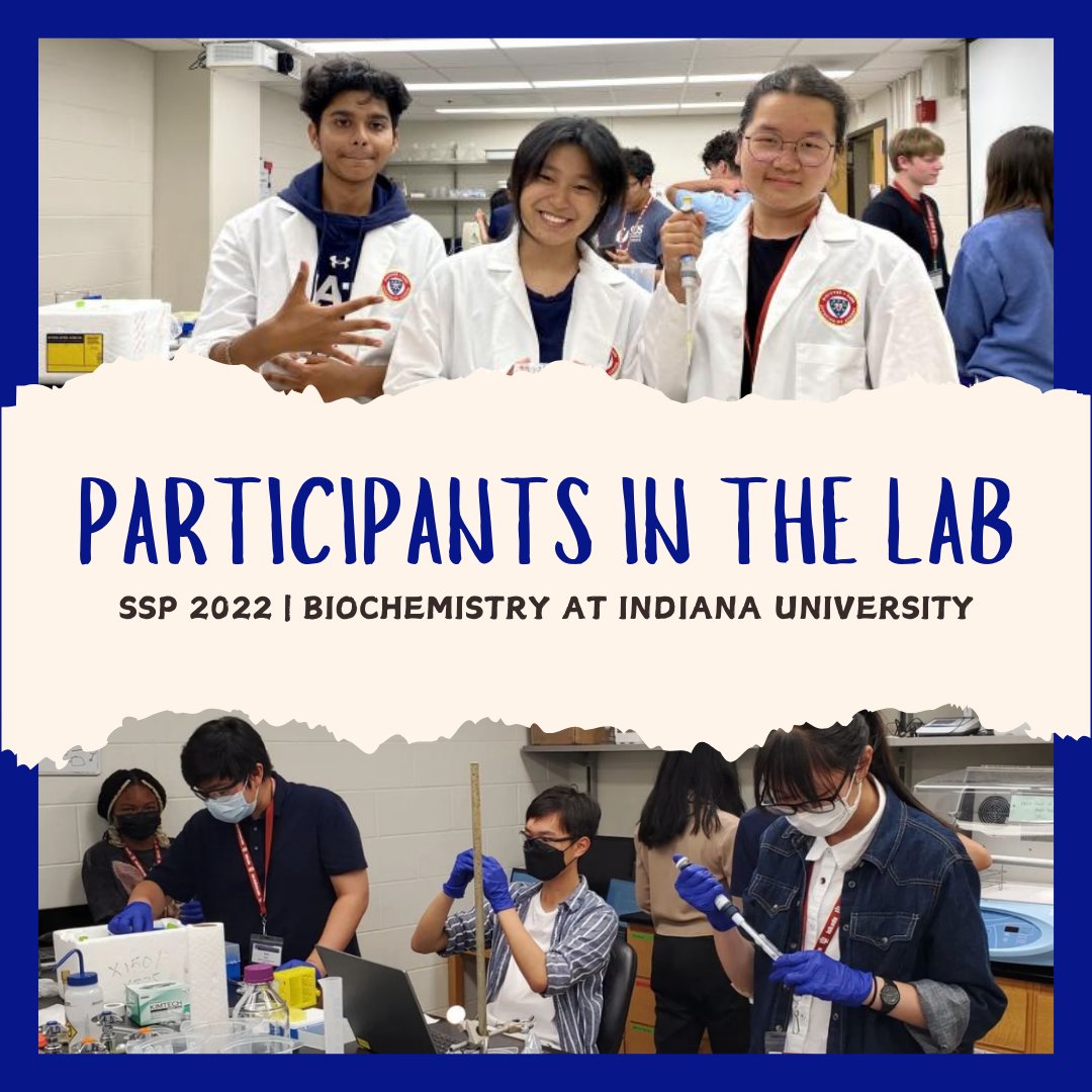 SSPers's tweet image. Here’s a look back at the SSP 2022 Biochemistry program at Indiana University, participants working in the lab. What’s your favorite SSP Lab memory? #SSP2022 #SSPBiochemistry #SummerScienceProgram