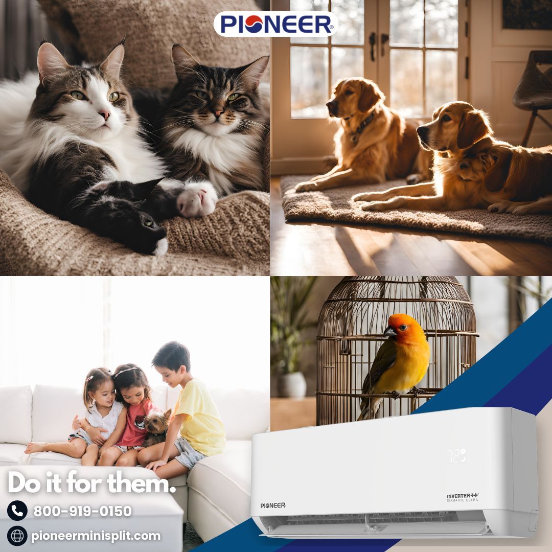 Keep your little ones cozy all year round! Our Pioneer mini split is perfect for pets and kids alike, ensuring comfort and peace of mind for the whole family. 🐾👶 #ComfortForAll #MiniSplitMagic