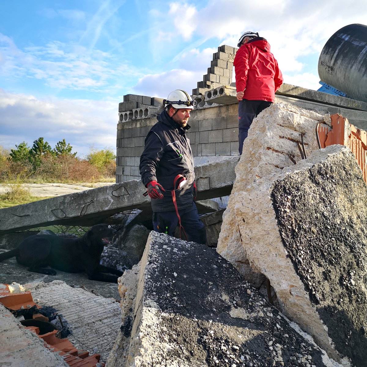irodogs's tweet photo. Trust, training, and passion – that’s what makes a world-class search and rescue team. 🐾 Jurgen and Fjiero are dedicated to saving lives, no matter the challenge. Their secret? Train smart, stay focused, and never give up. 💪 https://t.co/NouVpSyLeH

#IRODogs #SearchAndRescue https://t.co/nblGrX6b2j