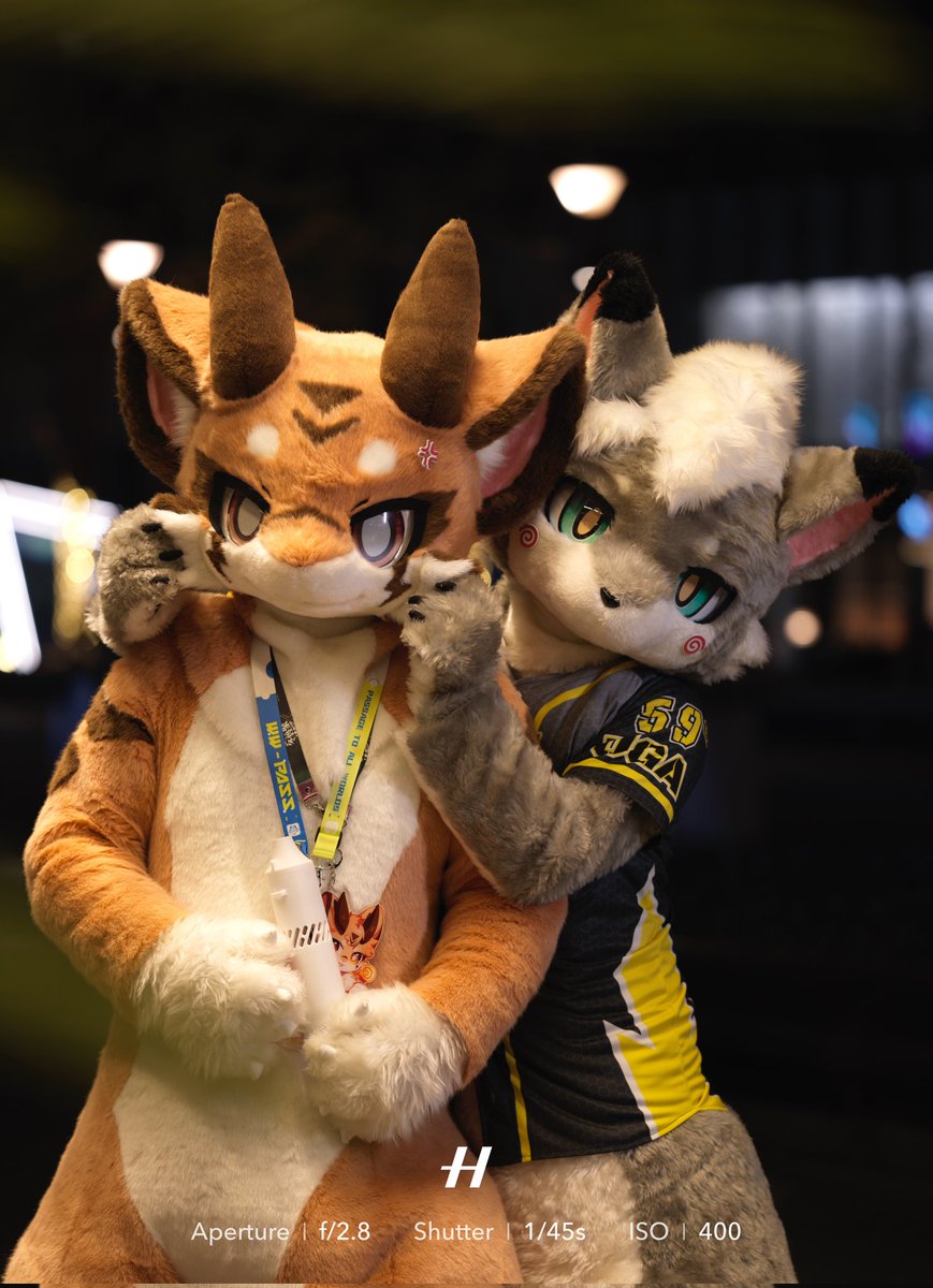 揪揪腮毛<a href="/yizhimile1/">一只米乐</a> 
📷：<a href="/Pidandan__OvO/">EggEgg～</a> 
#FursuitFriday