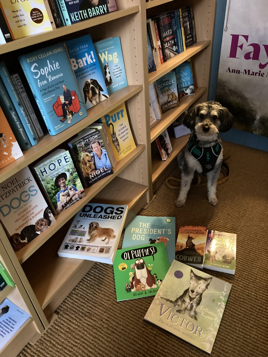 BantryBookshop (@bantrybookshop) on Twitter photo Tá Oíche na Gaoithe Móire ag teacht!
Red Weather Warning in place for Storm Éowyn so <a href="/BantryBookshop/">BantryBookshop</a> will close all day Friday 24th January. See you all when we reopen on Saturday morning at 10am! From Stanley, and all the staff here, stay safe everyone!
#StormEowyn Tá Oíche na Gaoithe Móire ag teacht!
Red Weather Warning in place for Storm Éowyn so <a href="/BantryBookshop/">BantryBookshop</a> will close all day Friday 24th January. See you all when we reopen on Saturday morning at 10am! From Stanley, and all the staff here, stay safe everyone!
#StormEowyn
