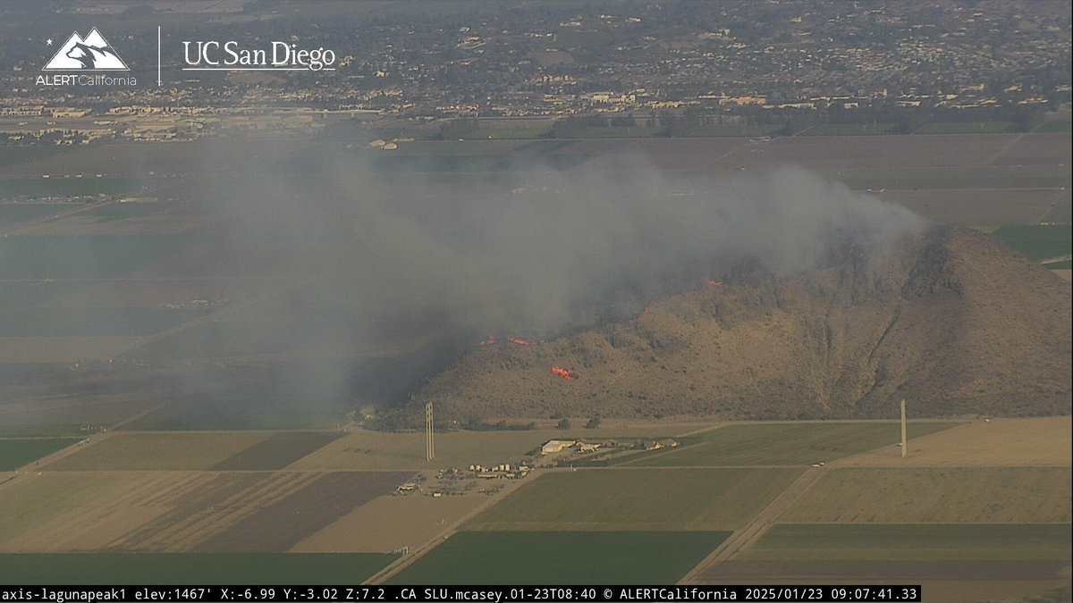 Dave Toussaint tweet media