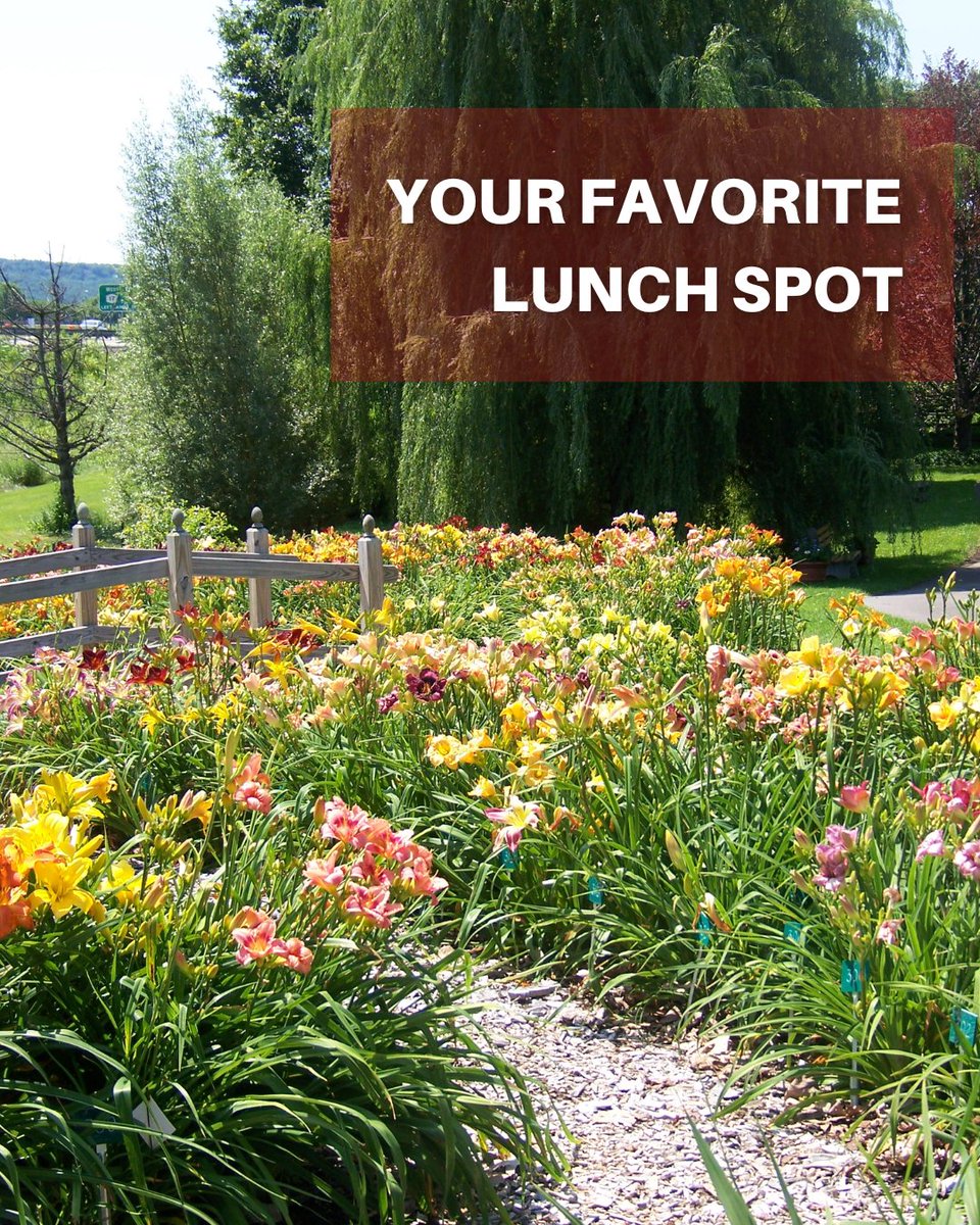 CCE Broome County tweet media