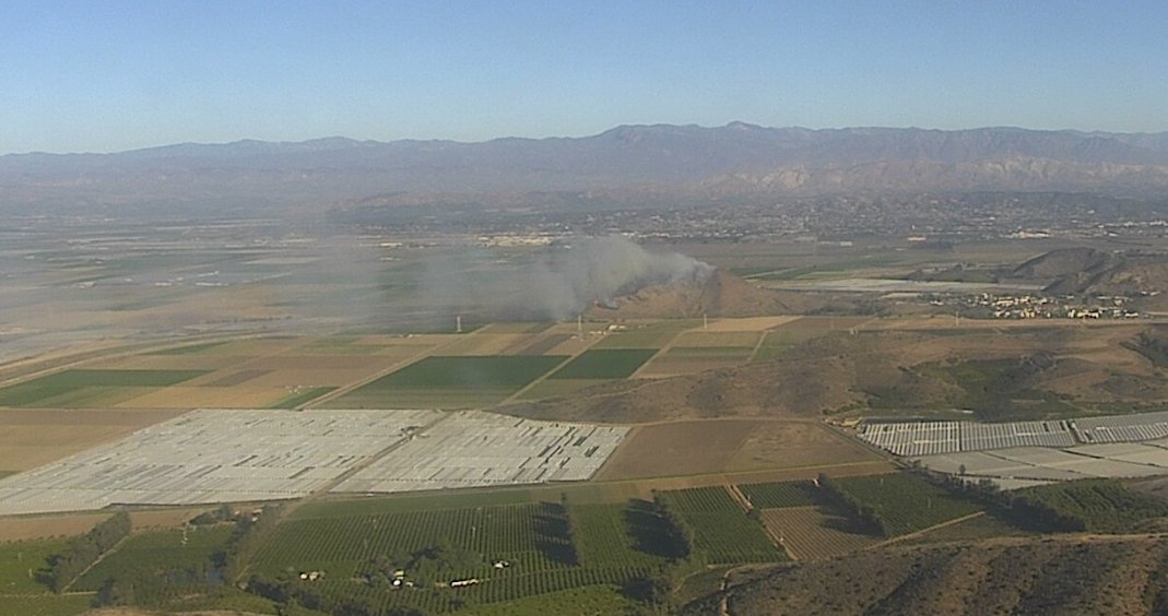 Dave Toussaint tweet media