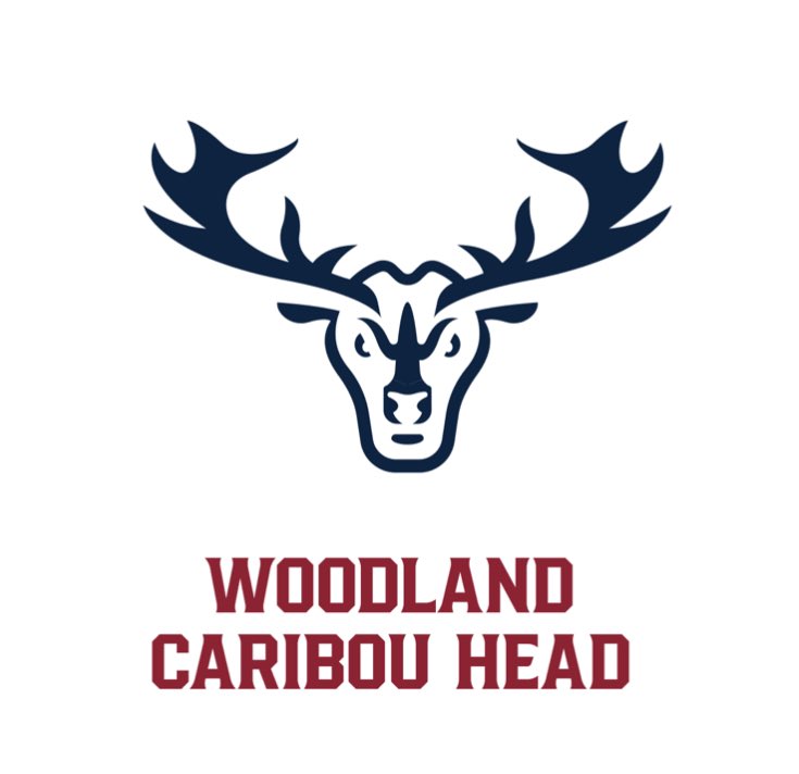 scottcwheeler's tweet image. It’s official: The QMJHL’s newest team is the Newfoundland Regiment. 

And the logo is 🔥