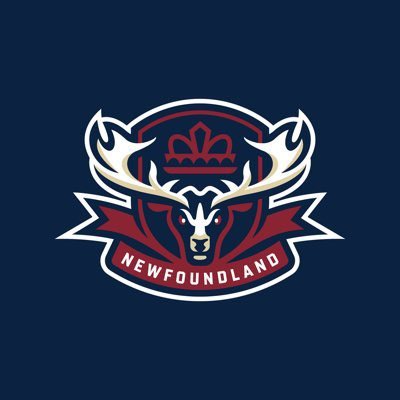 scottcwheeler's tweet image. It’s official: The QMJHL’s newest team is the Newfoundland Regiment. 

And the logo is 🔥