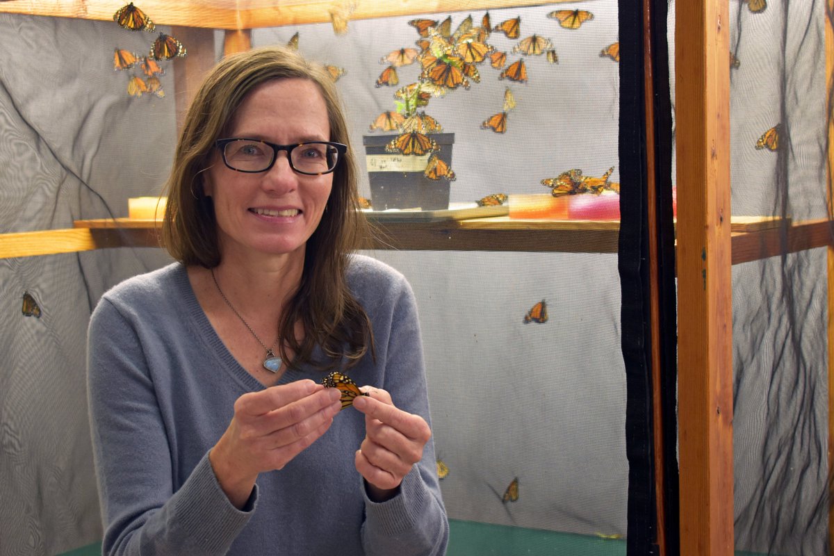 Kansas Bio Survey & Center for Ecological Research (@kuecoresearch) on Twitter photo Concerned about monarchs and want to learn more? Join <a href="/monarchwatch/">Monarch Watch</a> director Kristen Baum this Sun., 1/26, 9:15am: "Opportunities and Challenges for Monarch Conservation"—part of the Earth Care Forum series at First Pres in Lawrence. Talks posted here: youtube.com/@firstpreslawr… Concerned about monarchs and want to learn more? Join <a href="/monarchwatch/">Monarch Watch</a> director Kristen Baum this Sun., 1/26, 9:15am: "Opportunities and Challenges for Monarch Conservation"—part of the Earth Care Forum series at First Pres in Lawrence. Talks posted here: youtube.com/@firstpreslawr…
