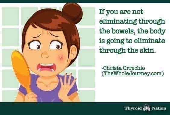 NataschaShaver's tweet image. The only way to FEEL and LOOK your best is to regularly eliminate toxins. Studies show the average American is walking around w/ 8-20lbs of 💩 💩 💩 inside then. 🤢 Plexus can help. 

 #PlexusTriplex #GutHealth  #microbiome  #RootIssues #probiotics  
shopmyplexus.com/nataschamshaver