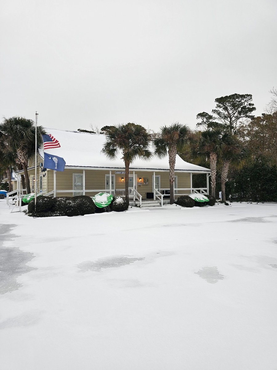 GardenCitySC's tweet image. Snow in Garden City Beach yesterday made for a rare and peaceful scene. A quiet winter moment with palm trees and fresh snow. ❄️ How did you spend your snow day? #GardenCityRealty #WinterWeather #JanuarySnow #SouthCarolina #GardenCityBeach #LifesGrandontheSouthStrand #Winter