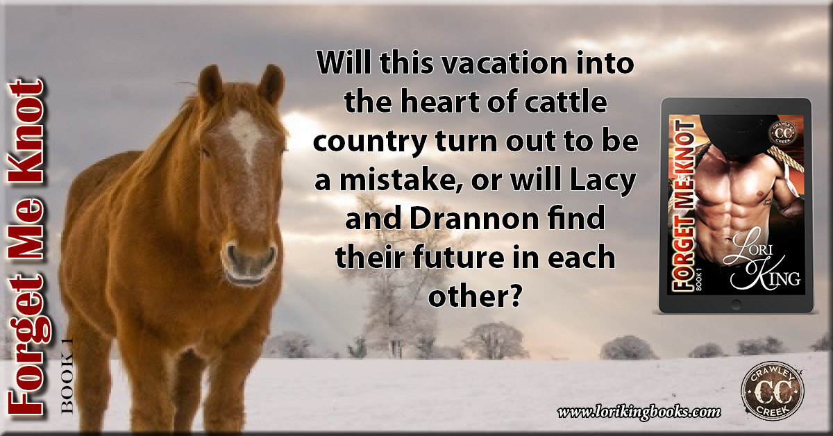 From the moment Lacy’s locked eyes with the sexy ranch owner, all her good intentions flew out the window. Will reality rear its ugly head when the snow melts?
Amazon: amazon.com/dp/B00TKWTXM0
#ebook #westernromance #smalltownromance #northdakota #romance #LoriKing #CrawleyCreek