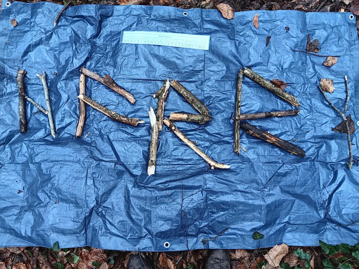 Northern Ireland Forest School Association (@niforestschool) on Twitter photo It was all about Viking runes with <a href="/TaughmonaghPS/">Taughmonagh Primary</a> when Mr Wheatley was having his Forest School observation. The whole class were very engaged using natural material to create their names.
#forestschoolsni #learningwithoutwalls #observations #curriculumlinks It was all about Viking runes with <a href="/TaughmonaghPS/">Taughmonagh Primary</a> when Mr Wheatley was having his Forest School observation. The whole class were very engaged using natural material to create their names.
#forestschoolsni #learningwithoutwalls #observations #curriculumlinks