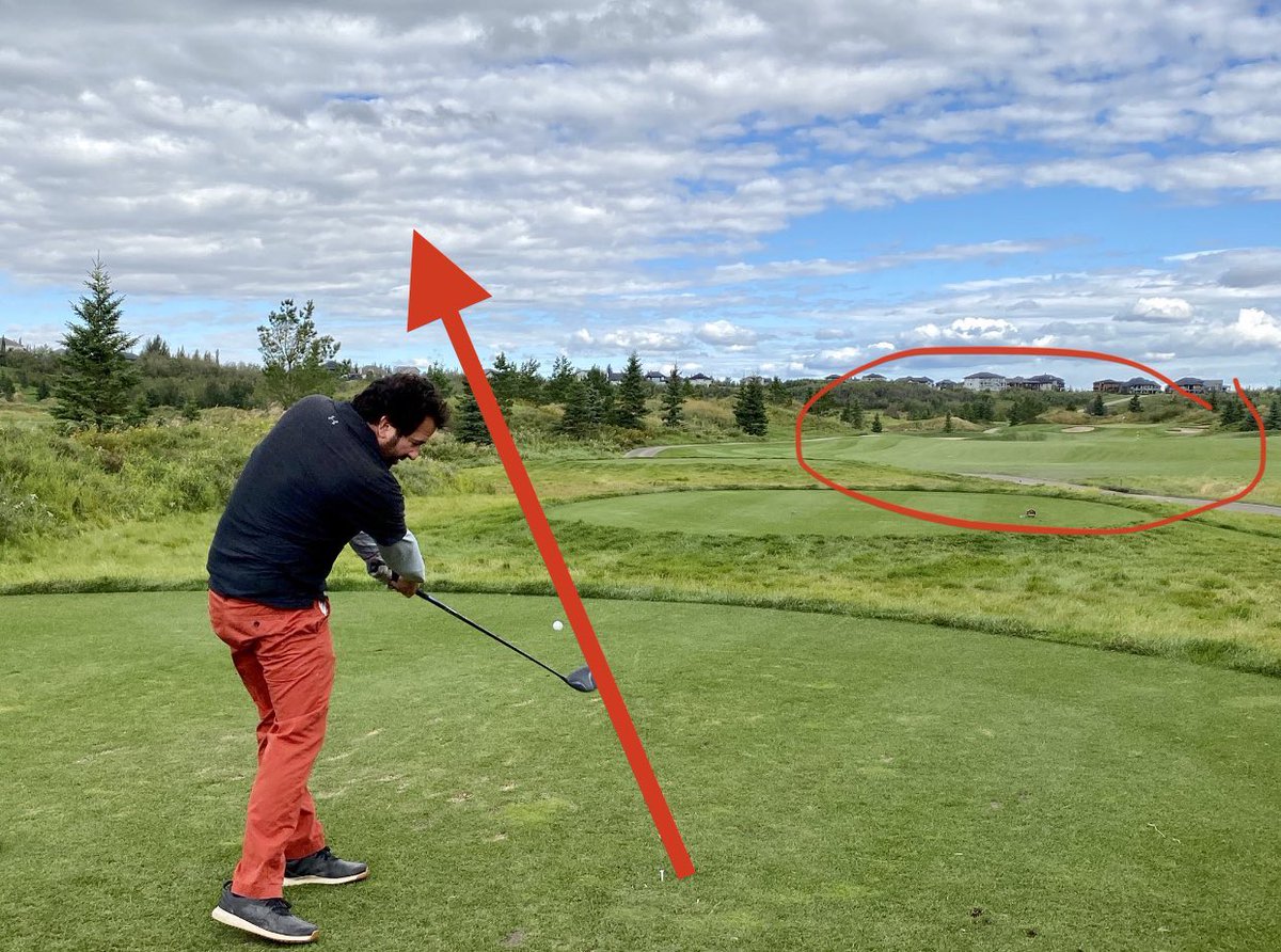 Tom Gazzola tweet media