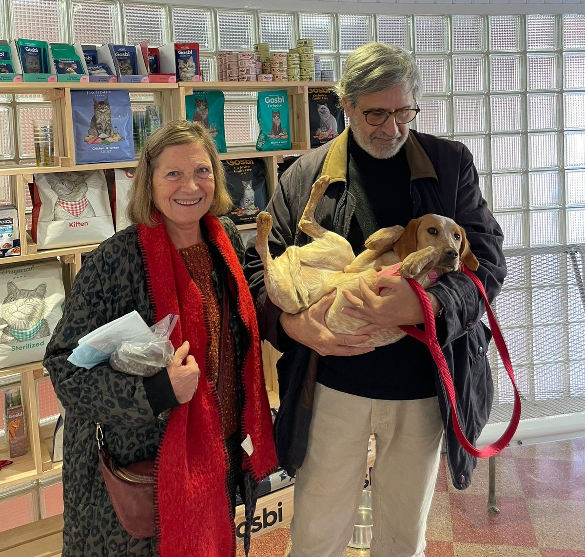elsquissos's tweet photo. 😍 ESTRELLA ADOPTADA!

Com el seu germà Núvol, l'Estrella, que ara es dirà Viola, ja té família!! Ja ha marxat a casa amb la Glòria i el Bernat, tota poruguina, ella 🥰
Sigueu molt feliços junts! 😘 https://t.co/htReVcxUQk