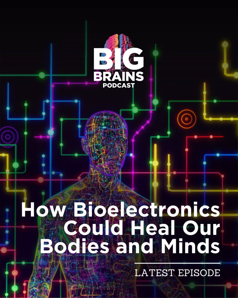 Big Brains Podcast tweet media