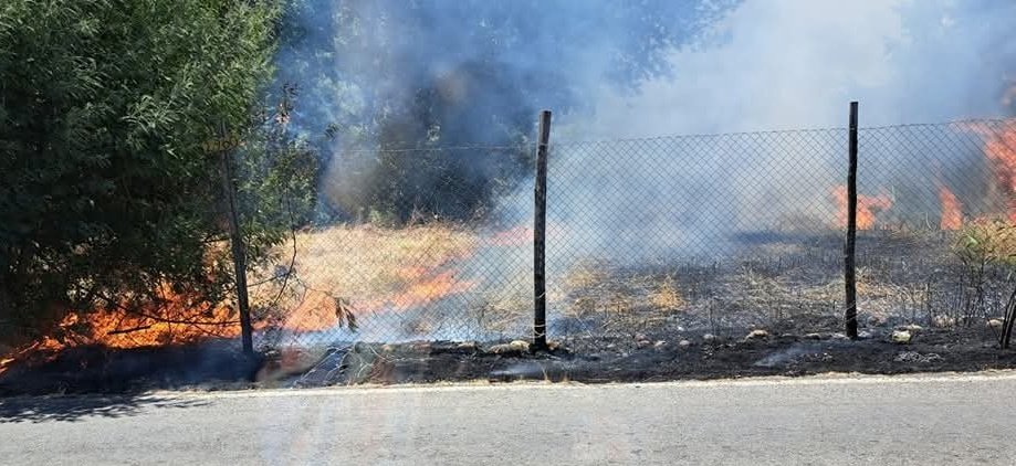Víctor González tweet media
