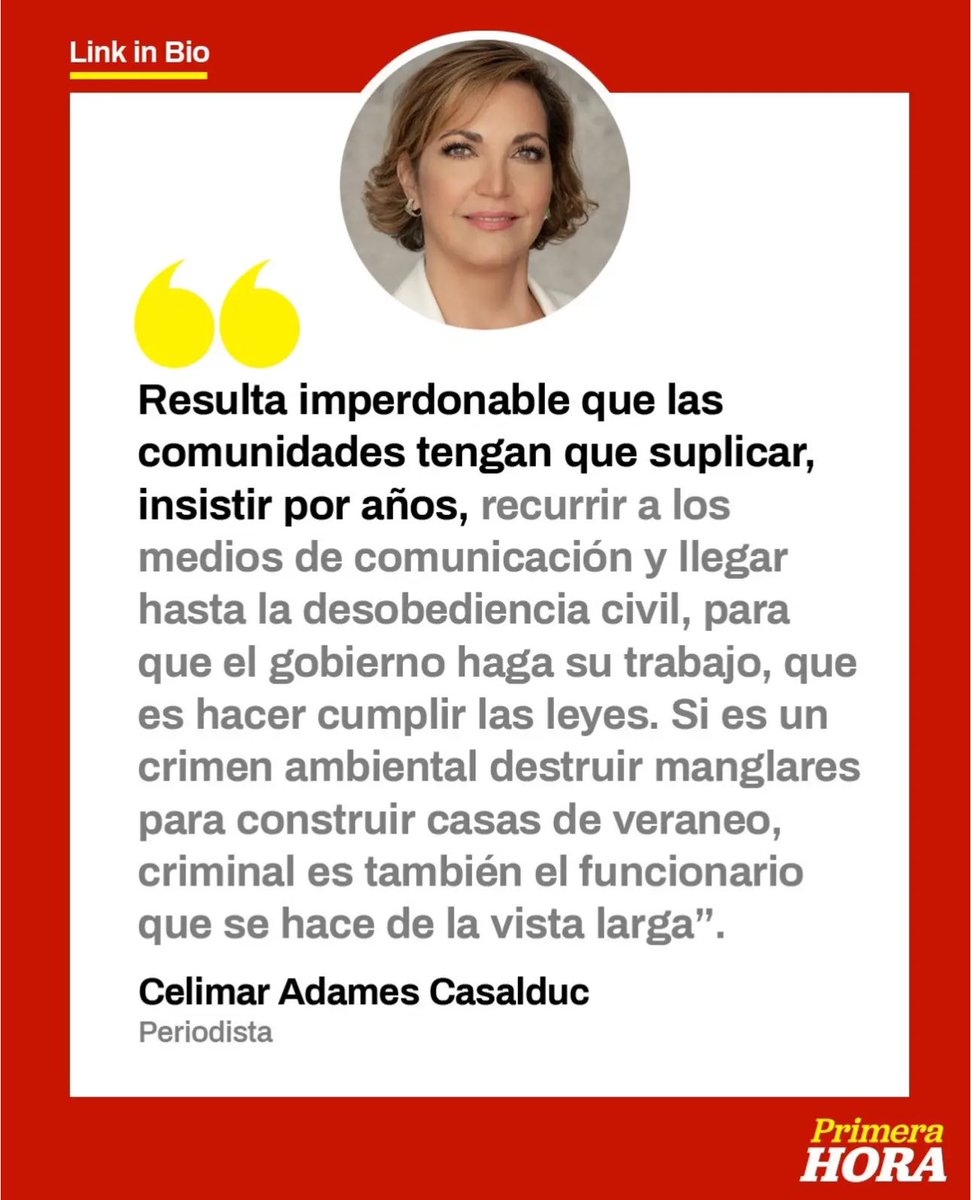 elebrond's tweet image. Mejor No Pudo Decirlo #DaleCasco