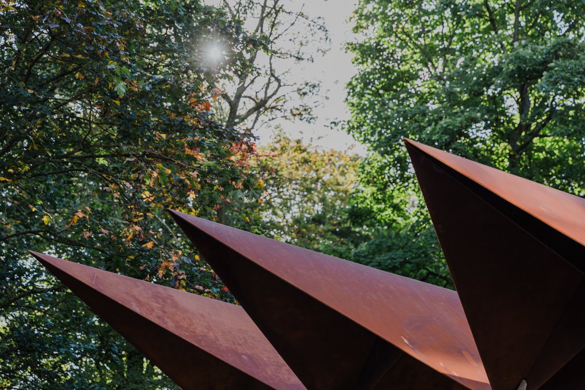 ArchitectureNI's tweet image. Check out one of the feature articles in the most recent issue of Perspective Magazine.

Take a closer look at the new Friends&apos; Pavilion at Friends&apos; School Lisburn by Studio idir.

Read the full article by Kari Simpson here: rsua.org.uk/a-case-study-o….

Photography by Joe Laverty.