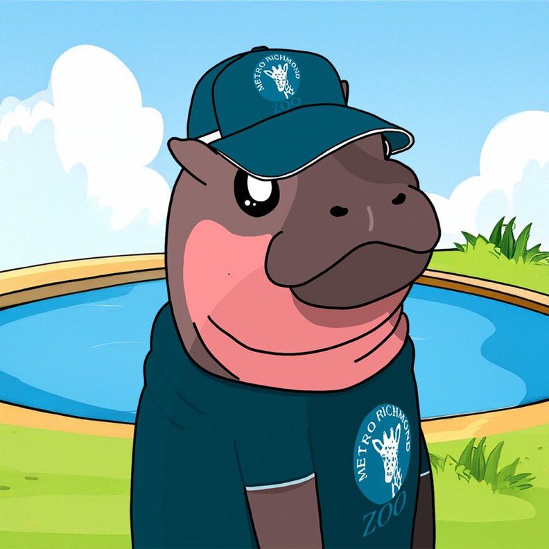 Hl7Martin32968's tweet image. Poppy the american hippo 🦛🇺🇸

Named by an amazing community 🦛

NFT collection with @MagicEden claimable on February 11th

Will follow moodeng hippo as the real blood cousin from him. 

Many more to come 🚀