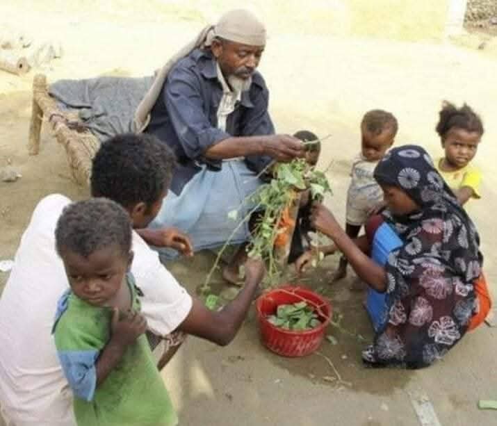Yourabilities_o's tweet photo. They only have leaves to cook &amp; eat
so how difficult is life?  
I hope folks consider donating. 
Your donation even if it is a simple amount will help
Donate now
https://t.co/3jKL3CGizZ

@blankblsj @Lin11W @An0nAKn0wledge @middlechildtake @Clouded_Kokoro @KunishimaTaeko @Tnvlk https://t.co/CF7eUmtTfQ