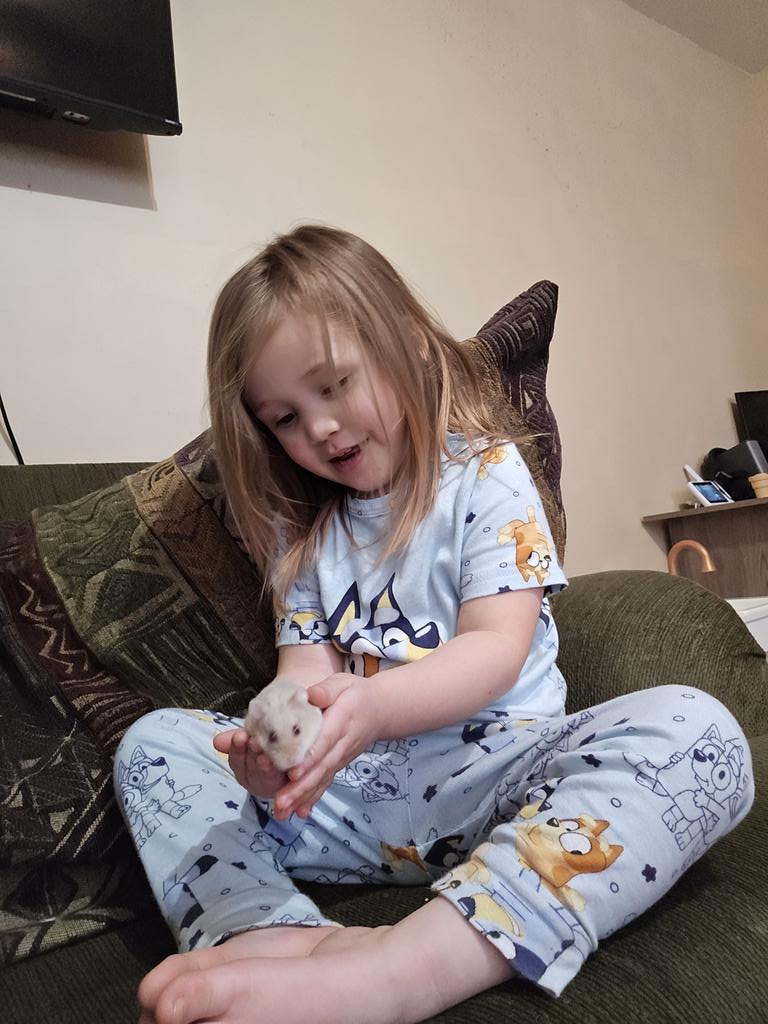 𝒶𝓂𝒶𝓃𝒹𝒶𝒩𝒜 tweet media