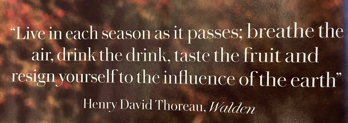 Dr Sarah Whittingham FSA (@drfrond) on Twitter photo 