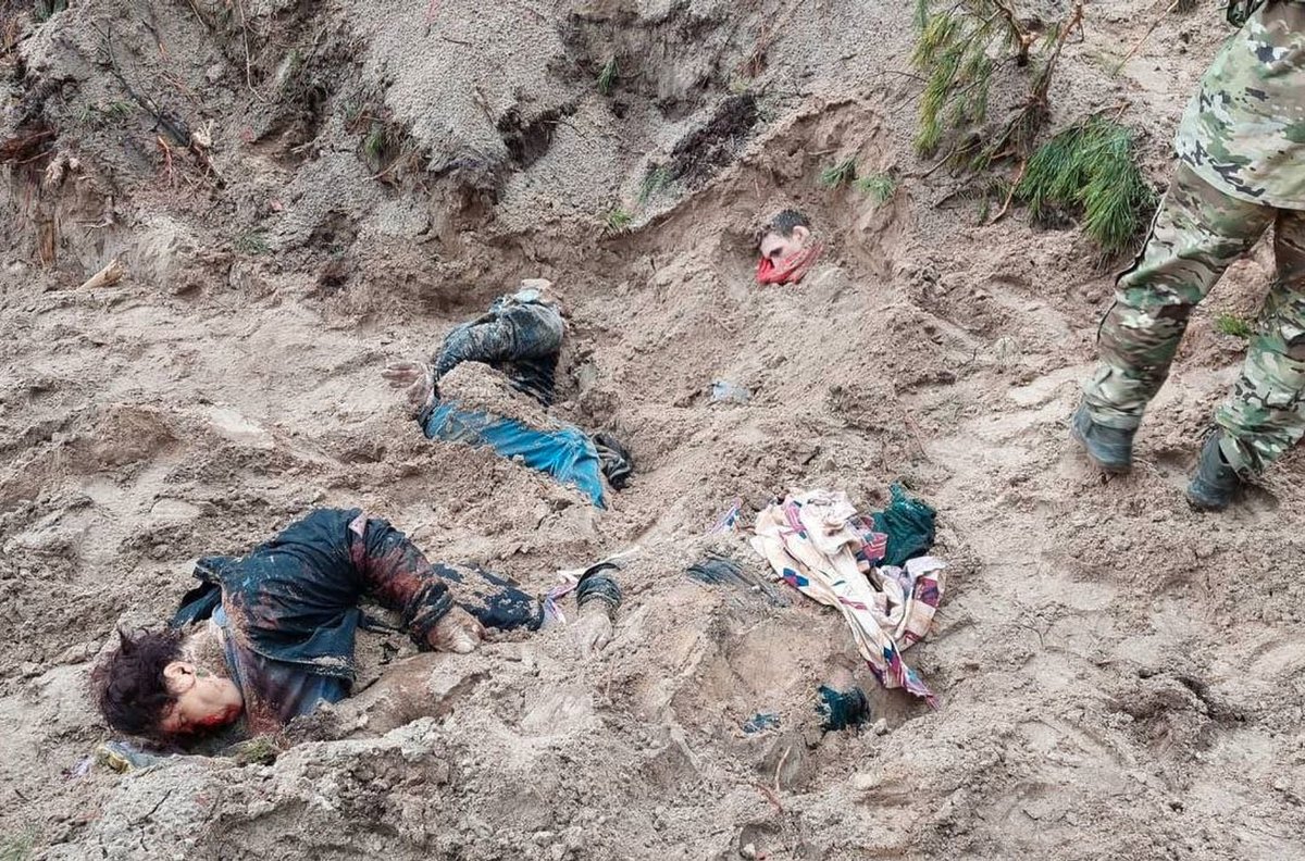 Viktoriia 🌻 tweet media