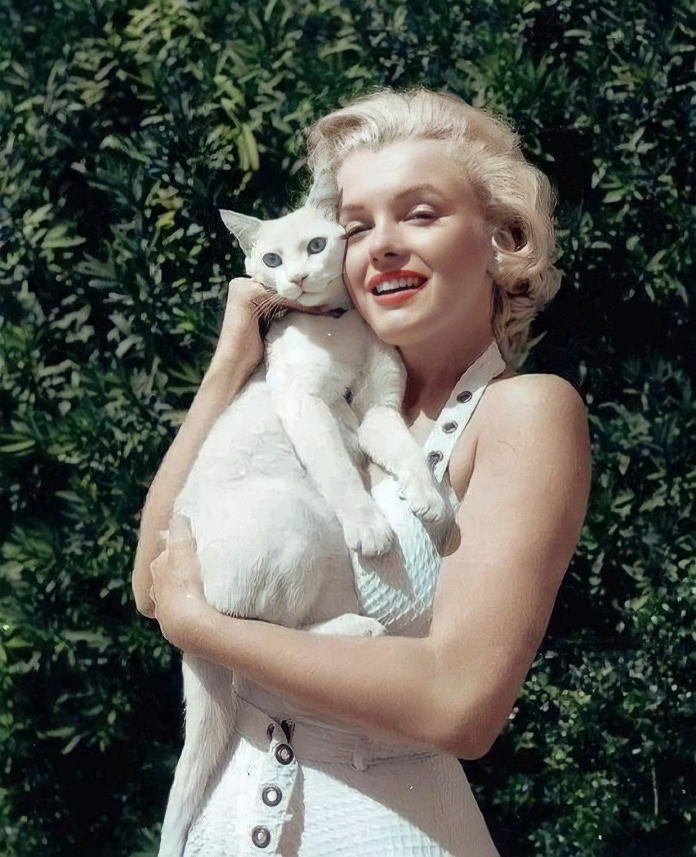 Marilyn Monroe with her cat, Mitsou, 1951.

(📸- Earl Leaf)