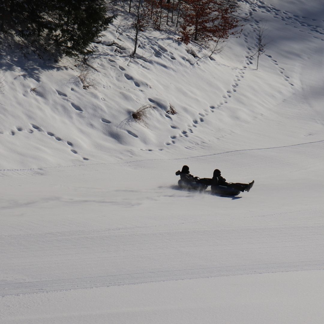 No really, they are happy screams! We take snow tubing to a whole new level here at Treetops ❄️🌬️#treetopsresort #gaylordmi #snow #tubing #familyfun #northernmichigan