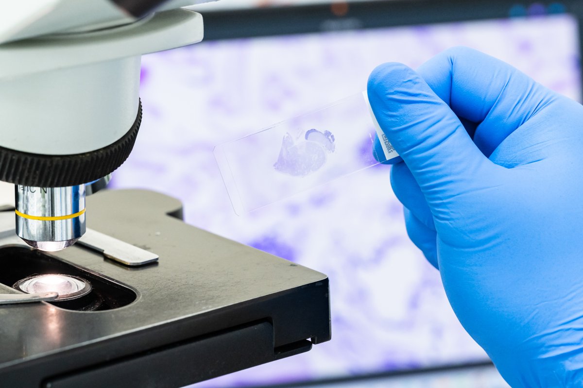 Consent is the fundamental principle of the Human Tissue Act. People’s wishes must be respected in the removal, storage, and use of human tissue.

Read the full guidance here: ow.ly/lRiI50ULPvw